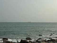 -广东惠东海龟国家级自然保护区