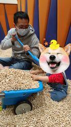 -meland(成都金牛凯德广场店)
