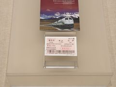 -中国铁道博物馆(正阳门馆)