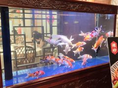 -庐州太太(鼓楼店)
