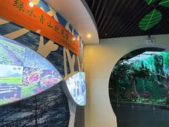 -云碧峰国家森林公园