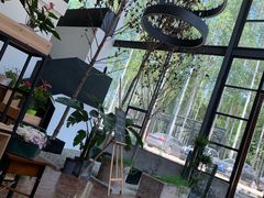 -桉树林A coffee 森林餐厅(三圣乡店)