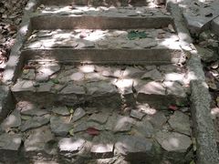 -上海佘山国家森林公园天马山园