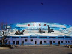 -石家庄极地海洋世界