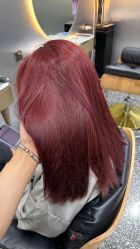 -Tloml salon