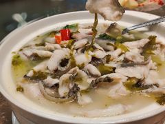 酸汤鱼片-庄氏祥记家常食府(国瑞建材家居博览中心店)