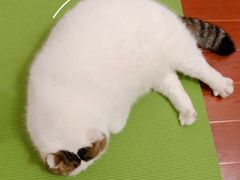 -一兆韦德健身(浦东万达会所)