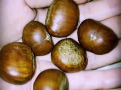 -金栗王(清扬路店)