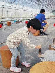 -前小桔亲子创意农场·草莓采摘·露营烧烤