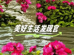 -西湖文化广场