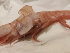 -山之川·日式料理(瀚海海尚店)