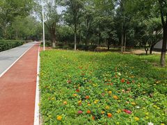 -绿堤公园