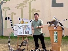 -无锡动物园·太湖欢乐园