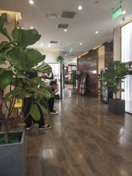 -崇尚GAVIN STYLE臻选