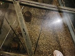 -元代水闸遗址博物馆