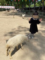 -上美四季动物农场