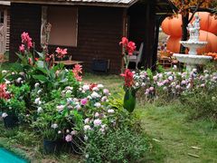 -HERRE·FARM 赫尔露营农场·团建聚会包场