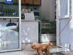 -收获咖啡HARVEST RESERVE(苍山店)
