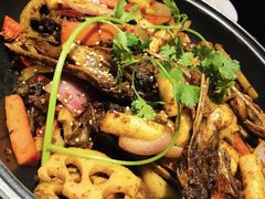 -渝蛙馆(新百店)