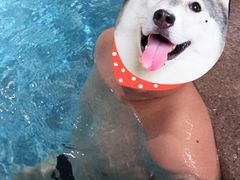 -水晶之星洗浴温泉汗蒸