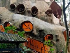 -天门沟九州驿站树上汤泉