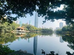 -荔枝公园(福田区)