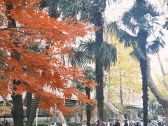-东南大学(四牌楼校区)