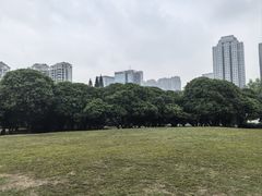 -荔香公园