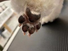 -comecome来吧宠物(奥克斯中心店)