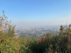 -杭州半山国家森林公园