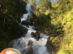 -九龙江国家森林公园