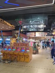 -卡通尼·Safari非洲探索乐园·生日会(金桥国际商业广场店)