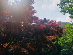 -东天目山风景区