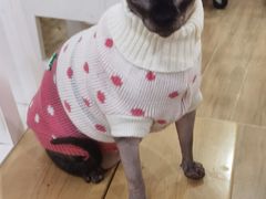 -李小姐の猫咖啡馆(五角场店)