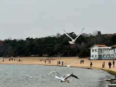 -青岛第二海水浴场