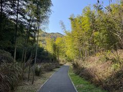 -午潮山国家森林公园