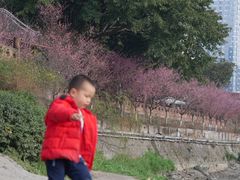 -望江楼公园