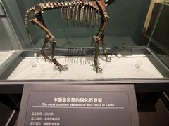 -大庆市博物馆