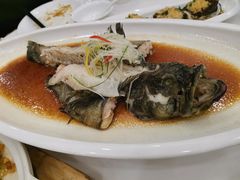 东星斑-海景壹号大酒店(惠钱路店)