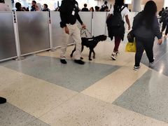 -达拉斯 沃斯堡国际机场