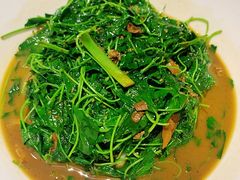 蚌肉金花菜-洋洋中餐馆·SINCE 1997(信投店)