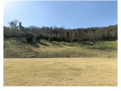 -羊山湖公园