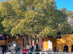 -丝绸小镇荻港古村