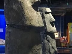 -重庆欢乐海底世界