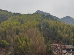 -MOJ coffee(瓯海泽雅水碓坑店)