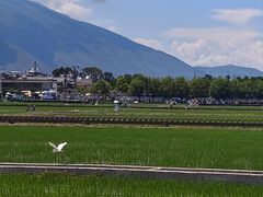 -大理洱源西湖景区