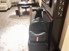 -无锡君来洲际酒店