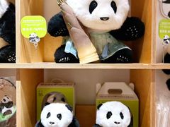 -三联韬奋书店(宽窄巷子店)