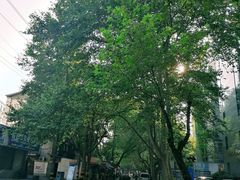 -老赵面店(大西路店)