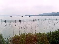 -湖畔居茶楼(湖滨店)